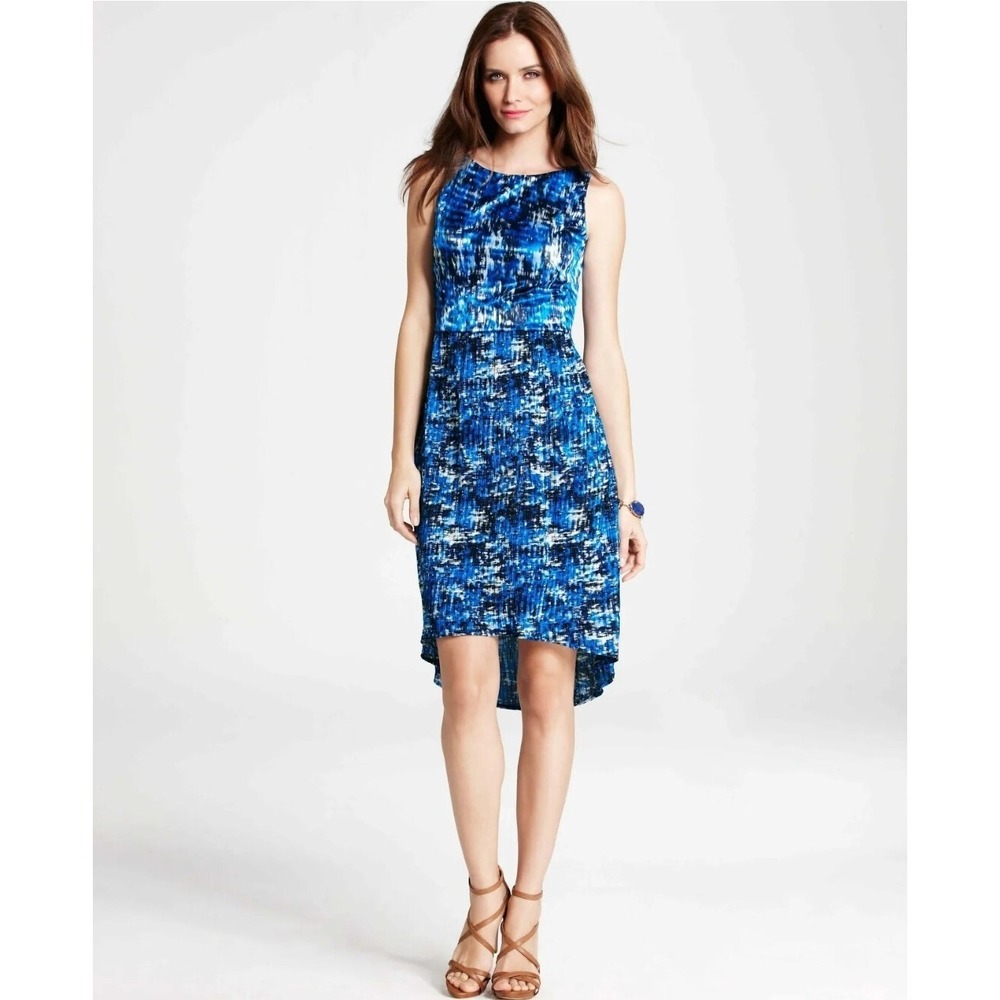 Ann Taylor Empire Filtered Blossoms Print‎ Pleated Dress Blue Hi Lo Hem Sz 10